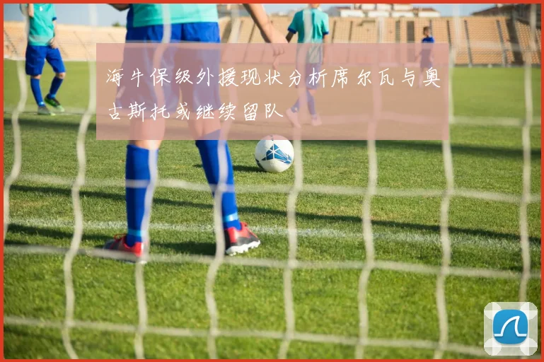 海牛保级外援现状分析席尔瓦与奥古斯托或继续留队