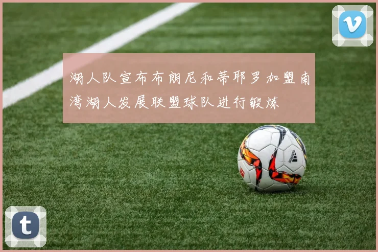 湖人队宣布布朗尼和蒂耶罗加盟南湾湖人发展联盟球队进行锻炼