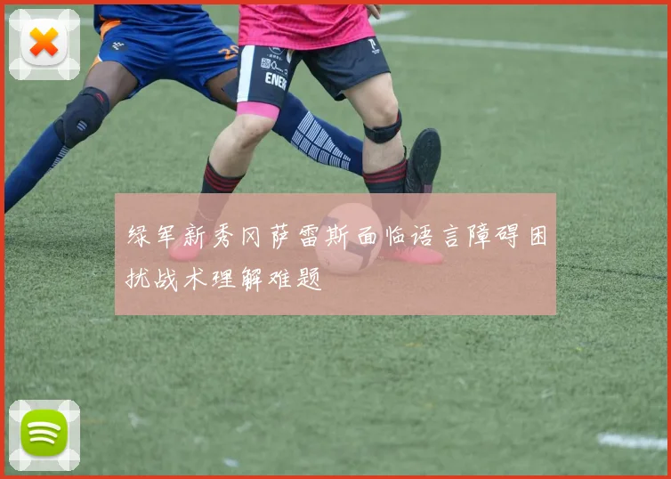 绿军新秀冈萨雷斯面临语言障碍困扰战术理解难题