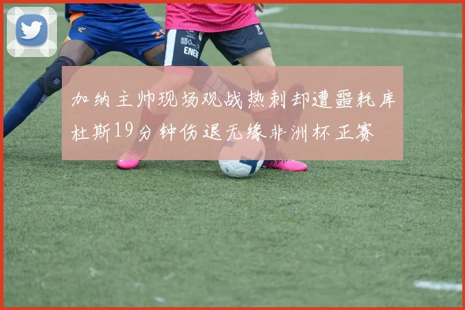 加纳主帅现场观战热刺却遭噩耗库杜斯19分钟伤退无缘非洲杯正赛