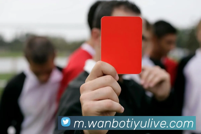 App Interface Preview