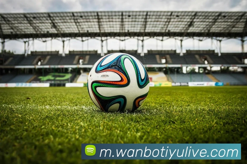 万博体育APP 封面图